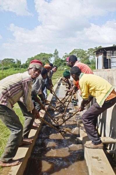 An image of coffee farmers within the yirgacheffe gedeo region.