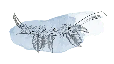 Image of a hat icon.